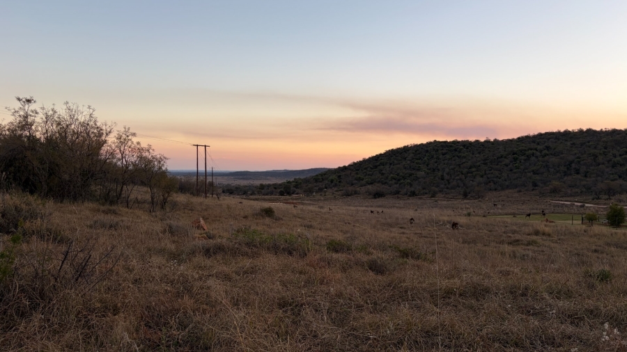 Commercial Property for Sale in Lekwena Wildlife Estate North West